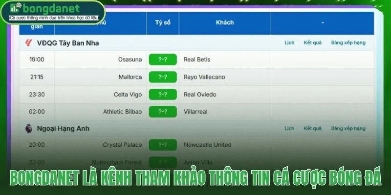 Kênh tham khảo độc lập miễn trừ trách nhiệm về kết quả cá cược