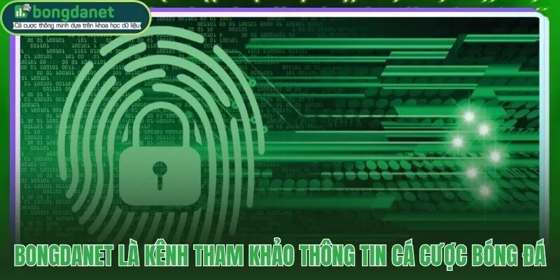 Chính sách bảo mật minh bạch quy trình thu thập dữ liệu rõ từng bước