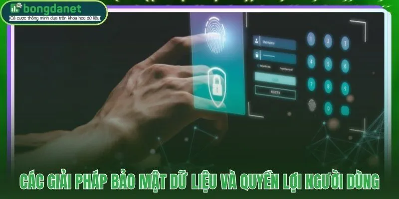 Chính sách bảo mật SSL 256-bit và quyền kiểm soát dữ liệu cá nhân