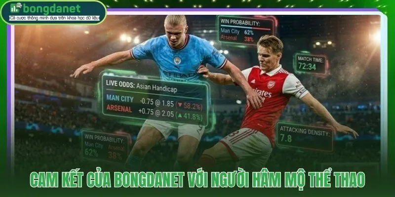 Giới thiệu cam kết cập nhật 24/7 và phân tích dữ liệu thực tế chuyên sâu