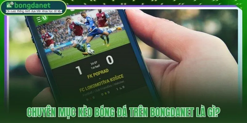 Phân tích kèo thực tế và tỷ lệ cập nhật liên tục trên BongdaNET