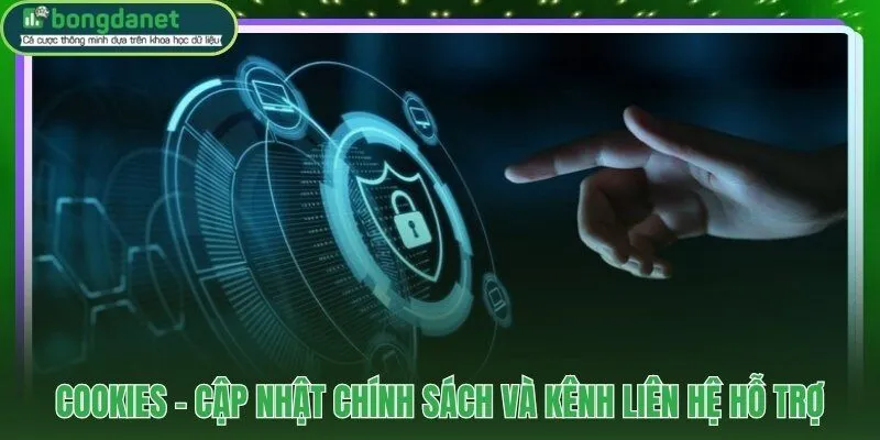 Cookies và kênh liên hệ hỗ trợ chính sách bảo mật 24/7