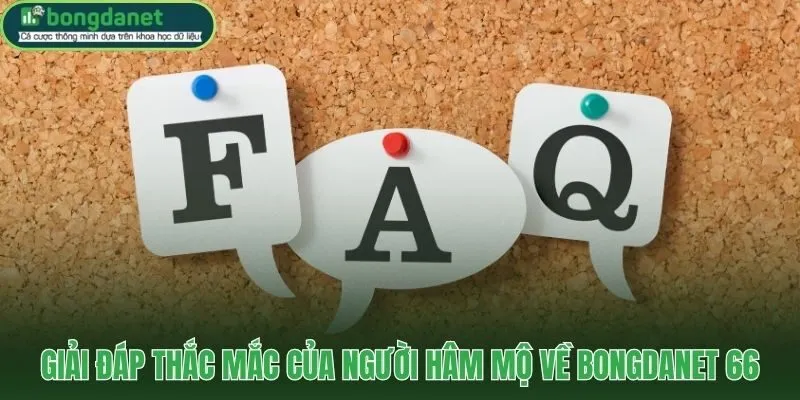 Câu hỏi phổ biến về kèo nhà cái livestream và đội hình ra sân