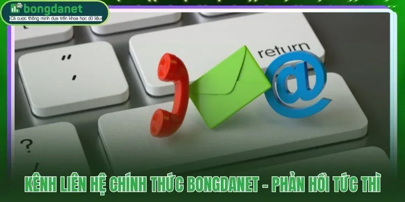 Bốn kênh liên hệ chính thức và tốc độ phản hồi tức thì