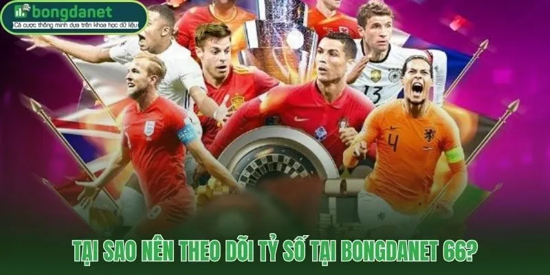 Dữ liệu đa chiều và livescore tự động không cần refresh trang