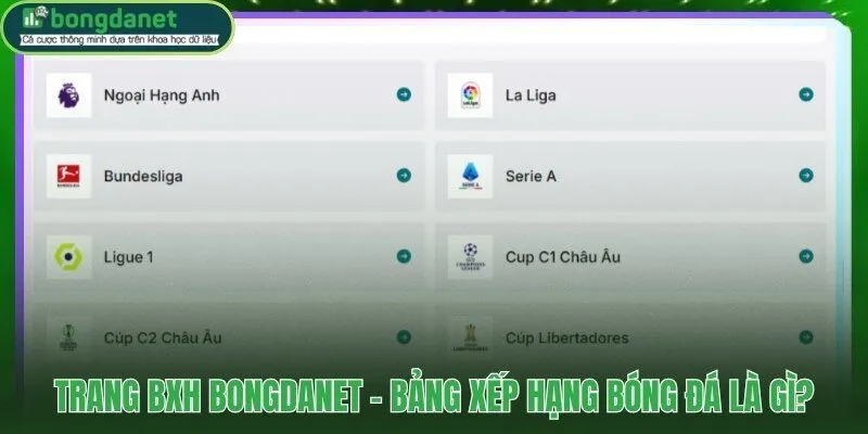 BXH BongdaNET và dữ liệu cục diện giải đấu theo thời gian thực